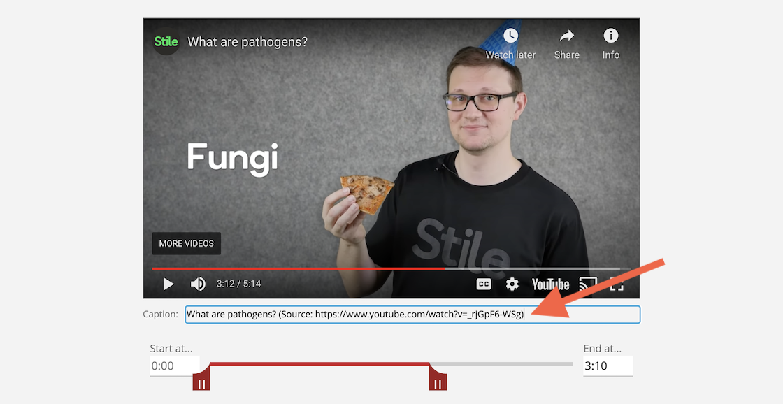 2021Video-Caption.png