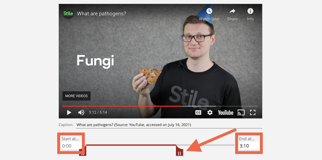 2021Video-Trim.png